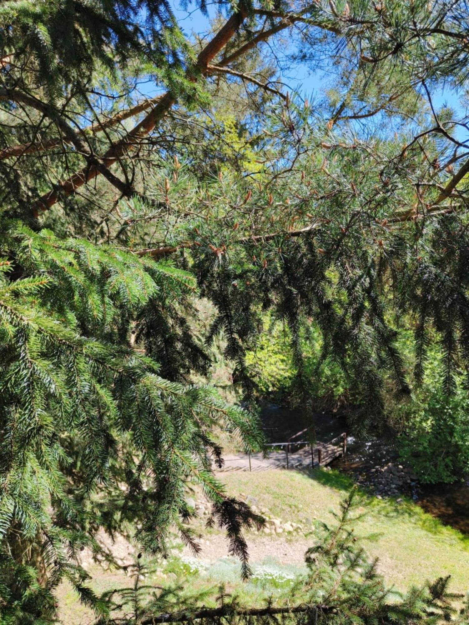 Pod Kogutkiem Villa Kruklanki Bagian luar foto