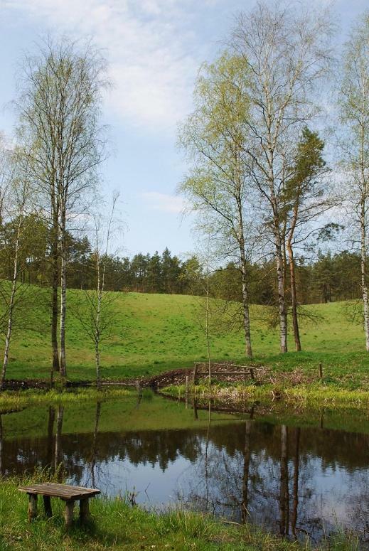 Pod Kogutkiem Villa Kruklanki Bagian luar foto